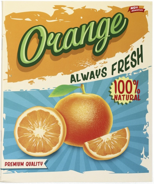 Тетрадь школьная 96 листов в клеточку в ассортименте Мечты сбываются