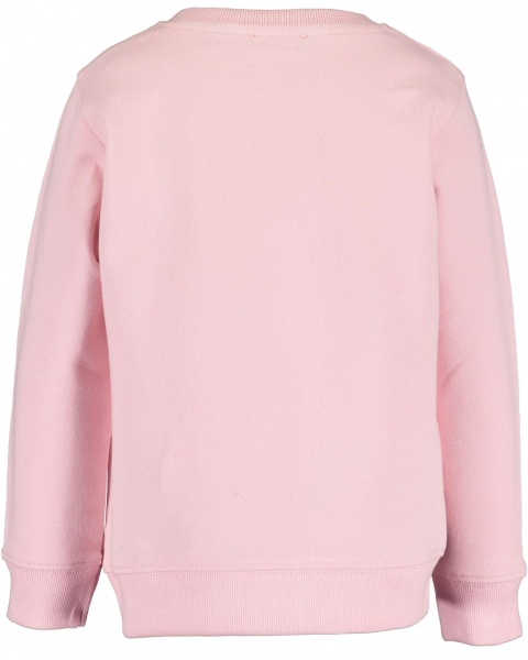 Реглан для дівчинки Blue Seven р.122 рожевий 717582 X_403_р.122 