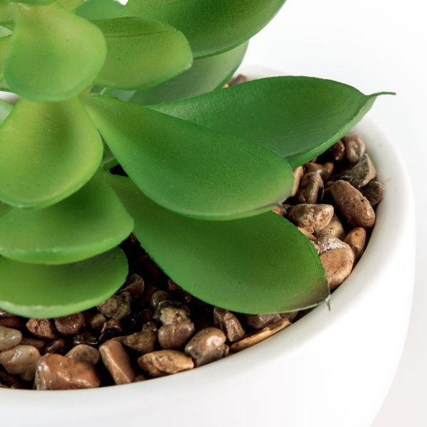 Растение декоративное DH-FLOWERS-14 S GREEN/WHITE MVM