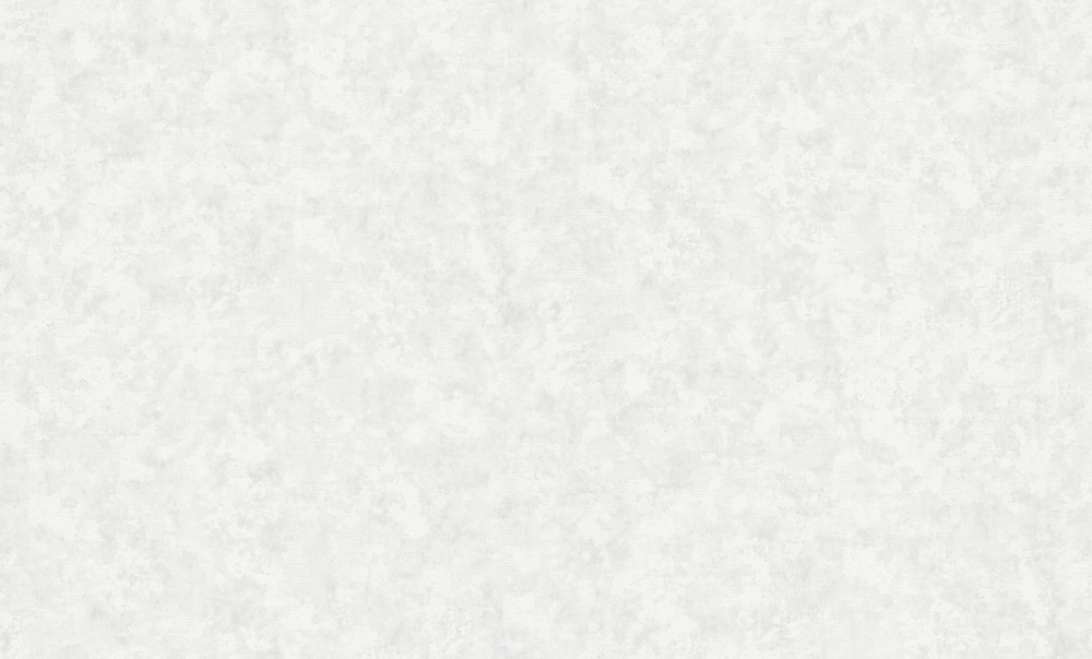 Шпалери вінілові на флізеліновій основі Bravo SIMPLE 515SP10 1,06x10,05 м