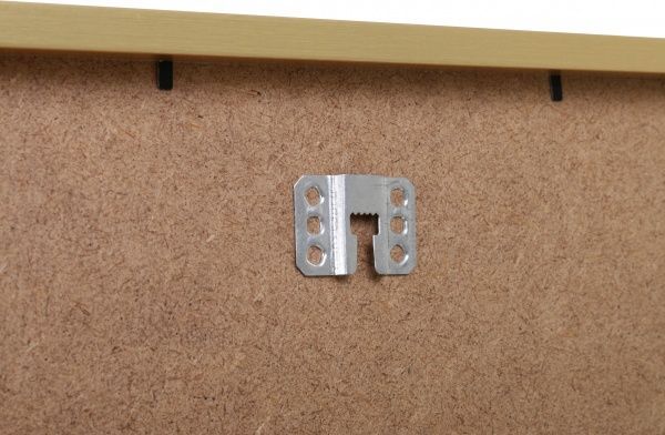 Картина try Sucullent 50x70 см Styler OB-02667 