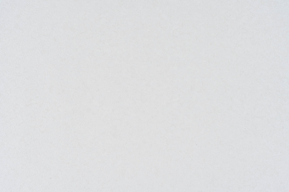 Шпалери вінілові на флізеліновій основі Слов'янські шпалери Le Grand platinum Астара 2 8756-05 1,06x10,05 м