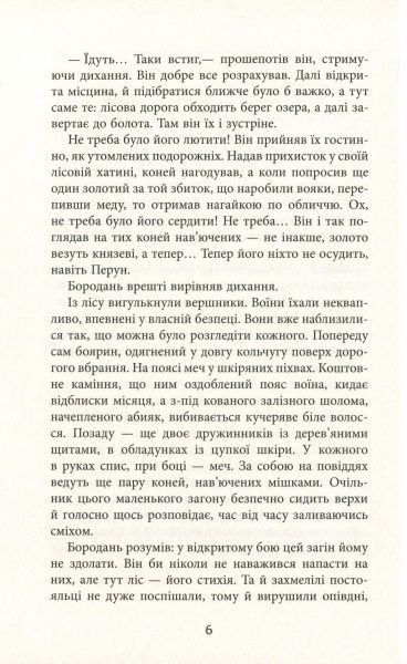 Книга Василь Тібель «Бурштин» 978-617-09-3922-7