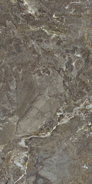 Плитка Allore Group Snake stone Bronze F PC R Sugar (51,84) 60x120 