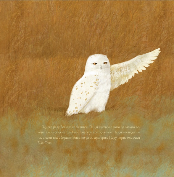 Книга Крістіна Нгуєн «Історії про Пандімуна» 978-617-951-420-3