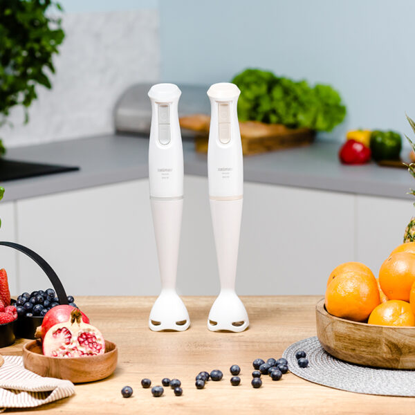 Блендер ручний Zelmer ZHB4560S 