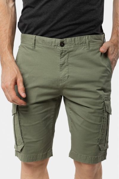 Шорти Avecs AV-30352/15 р. 52 світло-сірий