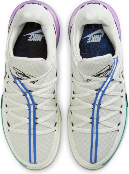 Кроссовки Nike LEBRON XVII LOW CD5007-005 р.US 7,5 белый