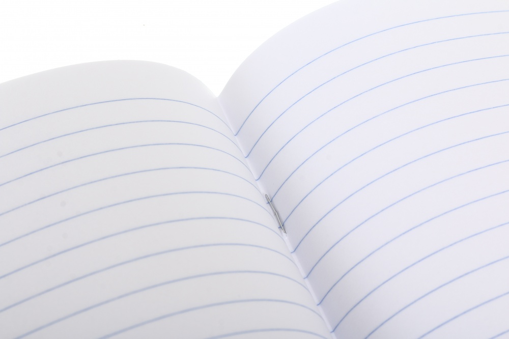 Тетрадь школьная 12 листов линия 2024 Nota Bene