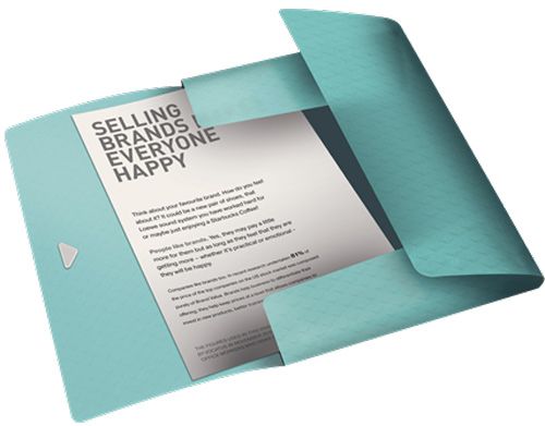 Папка Colour'ice PP голубая 626222 Esselte