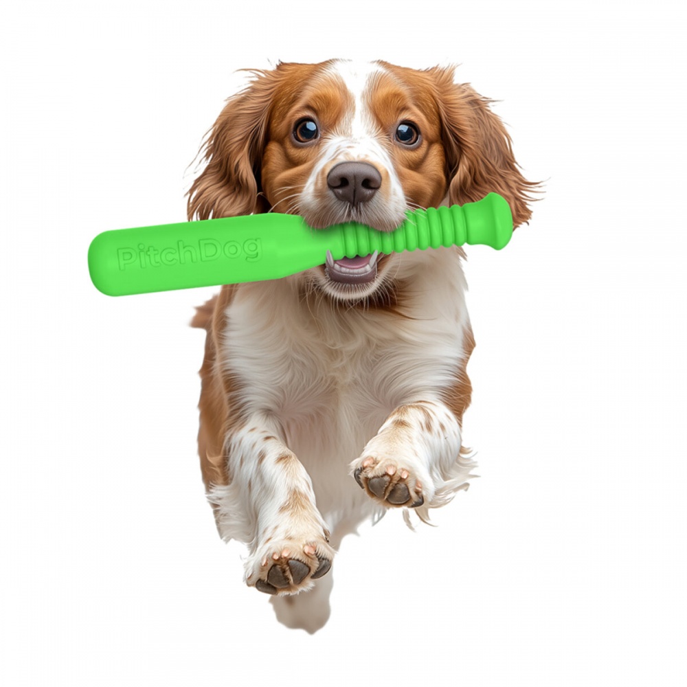 Іграшка для собак PitchDog біта для апортування 35 см салатова