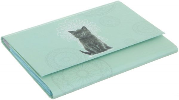 Папка-клатч Cat Индеец А5 iTEM