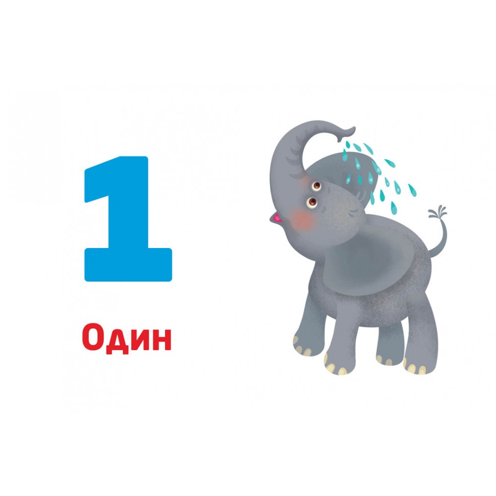 Прописи многоразовые ламинированные Кенгуру Цифры и числа