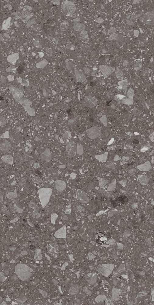 Плитка Allore Group Terra Anthracite F P R Mat 60x120 см