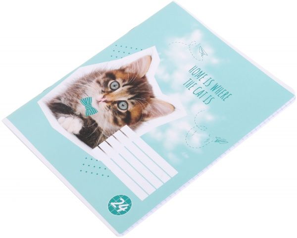 Тетрадь школьная Cat 24 листов клетка 2 Мечты сбываются