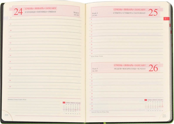 Щоденник недатований лінія Leo Planner Destiny A5 251950