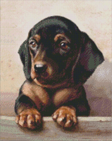 Алмазная мозаика Преданный взгляд 40х50 см Идейка 