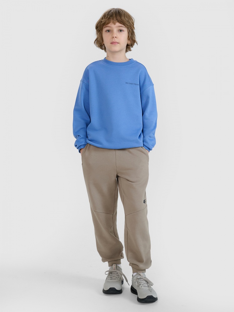 Брюки 4F TROUSERS CAS M1103 4FJWSS25TTROM1103-83S р. 158 бежевый