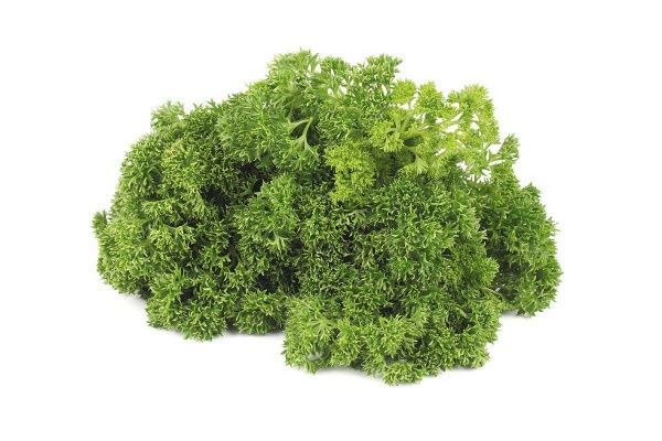 Семена Професійне насіння петрушка кучерявая Калито 1 г (4823058200545)