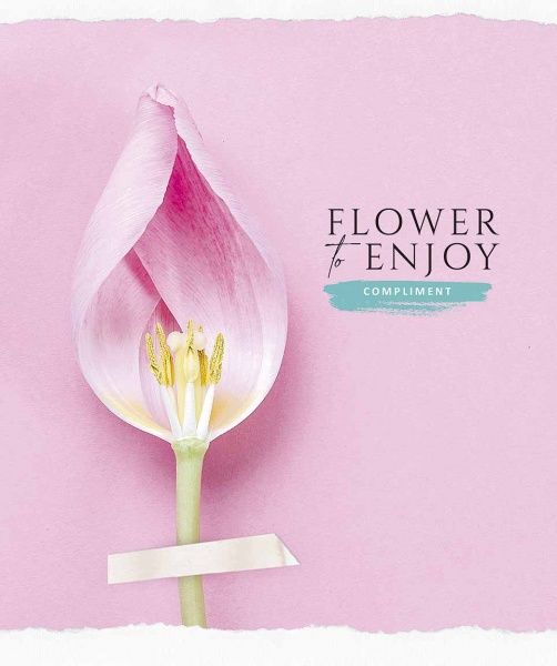 Зошит шкільний B5 60 аркушів у клітинку STAR