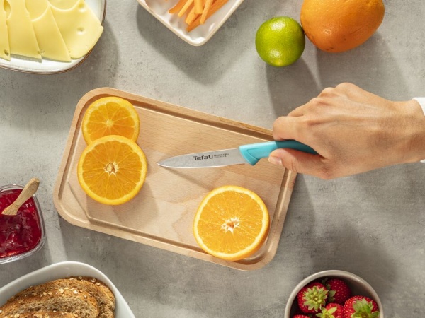 Набор ножей ColorFood 3 предмета K273S304 Tefal
