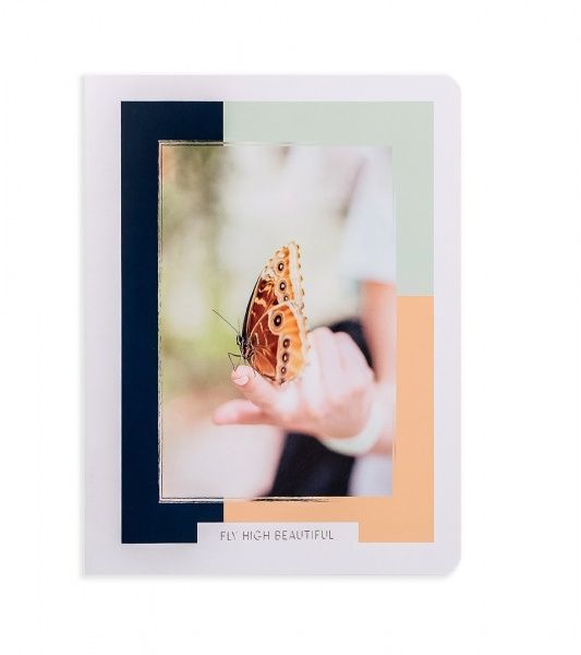 Комплект тетрадей Бабочки 48 листов в клетку золото 10 шт. Поділля