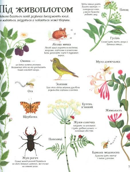 Книга Минна Лейси «Велика ілюстрована книга про природу» 978-617-7579-24-2