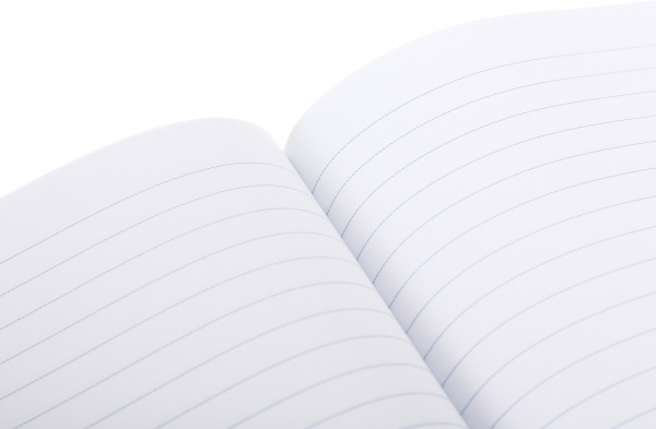 Книга для записей А5 80 л линия 16272-16275