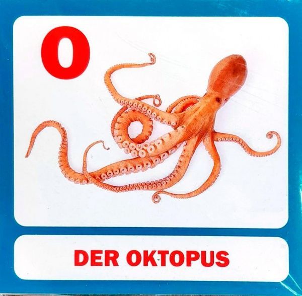 Книга «Навчальний посібник. Абетка німецька»