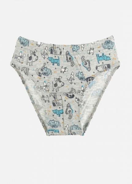 Труси для хлопчика Donella 7672721SK р.110-116 в асортименті 