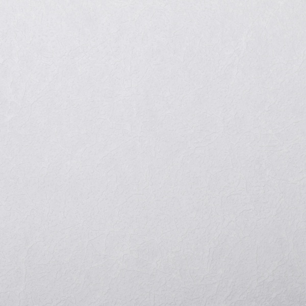 Обои под покраску Vinil PRO 3 1,06x25 м 