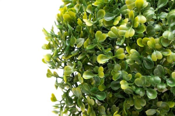 Растение искусственное Самшит темно-зеленый 23 см 960293 Девилон