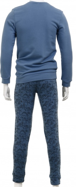 Костюм домашний мужской Flis clothes Динозавры р. L серый