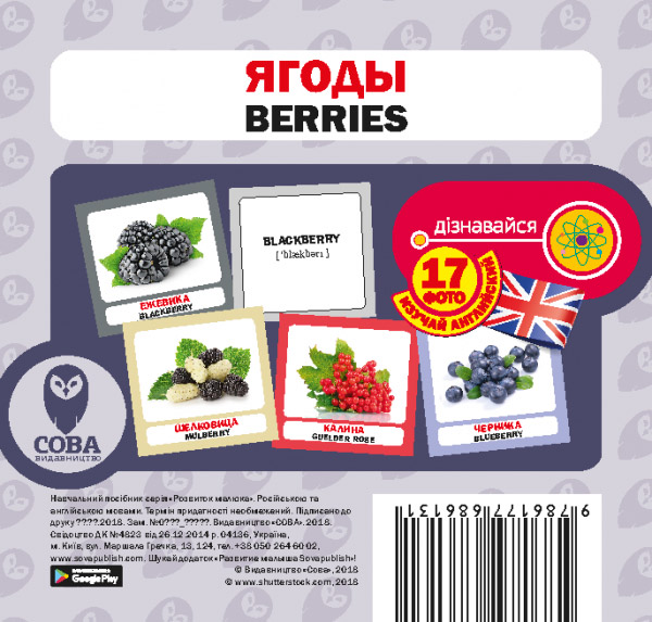 Книга «Навчальний посібник. Ягоды.» 9786177686131