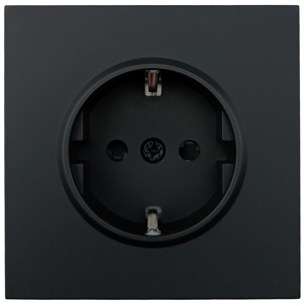 Механізм розетки побутова із заземленням HausMark Juna IP20 чорний