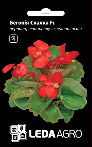 Семена LedaAgro бегония Скалка F1 10 шт. (4820119791301)