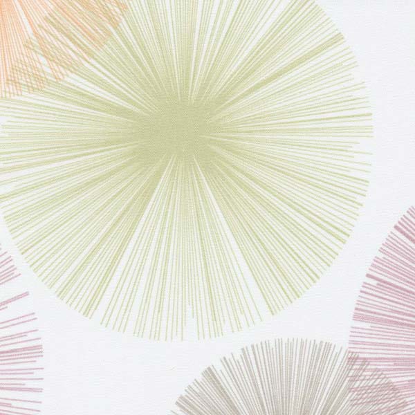 Ролета Mini Дельфа СРШ-01М-2371 77(73)x170 см Палла 1