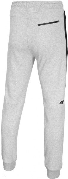 Брюки 4F H4L20-SPMD002-27M р. M светло-серый