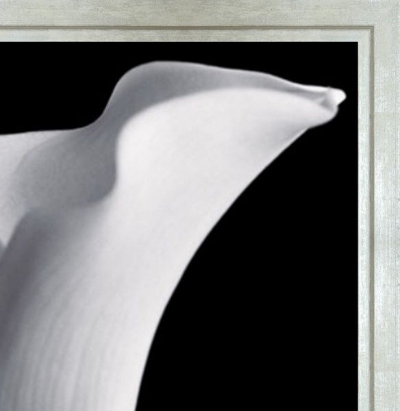 Репродукция 50x40 см SvitArt HEM1101 