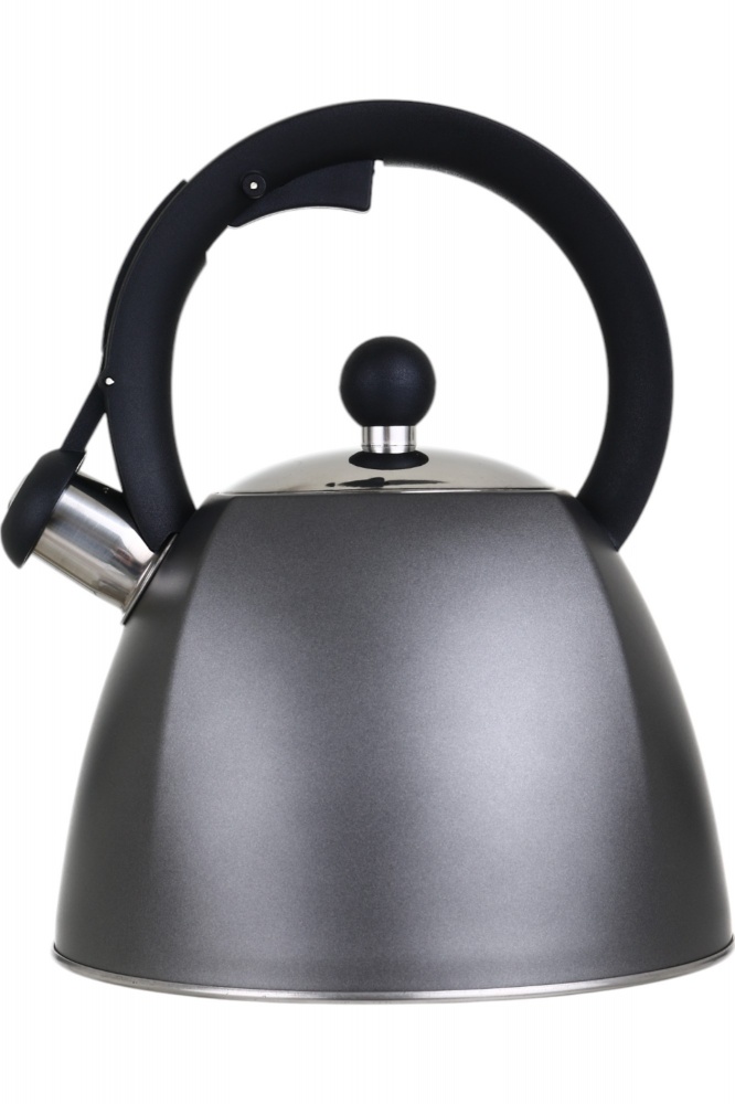 Чайник Flamberg зі свистком Graphite сірий 3 л