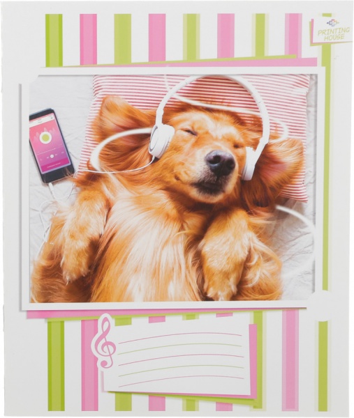 Тетрадь для нот Музыкальные 5 12 листов в ассортименте