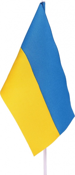 Флаг П3 габардин на палочке (П3Г)