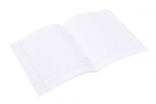 Тетрадь 12 листов коса линия 2023_1 Nota Bene