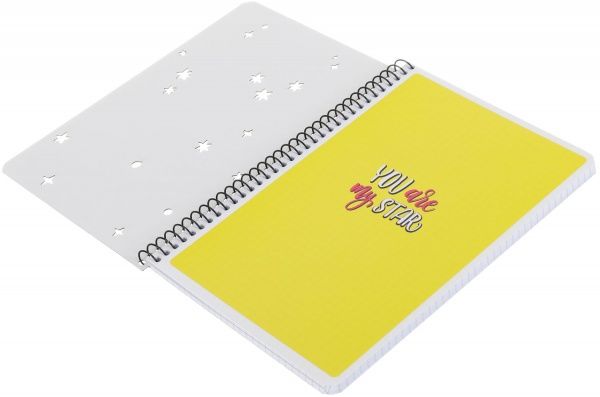 Тетрадь школьная А5 80 листов в клеточку A5-SC-080-6081K Student Школярик