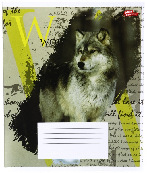 Зошит шкільний 48 аркушів у клітинку в асортименті Мрії збуваються