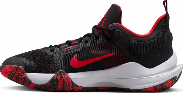 Кроссовки Nike GIANNIS IMMORTALITY 2 DM0825-005 р.42 разноцветный