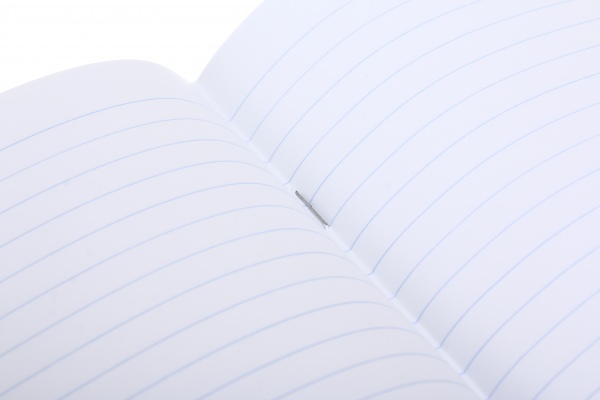 Зошит шкільний 12 аркушів у лінійку дизайн в асортименті Мрії збуваються