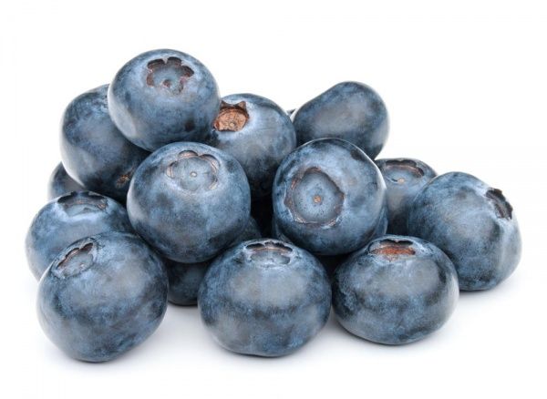 Саженец Голубика