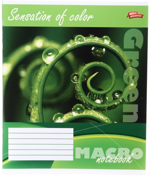 Тетрадь школьная 36 листов в линейку в ассортименте Мечты сбываются