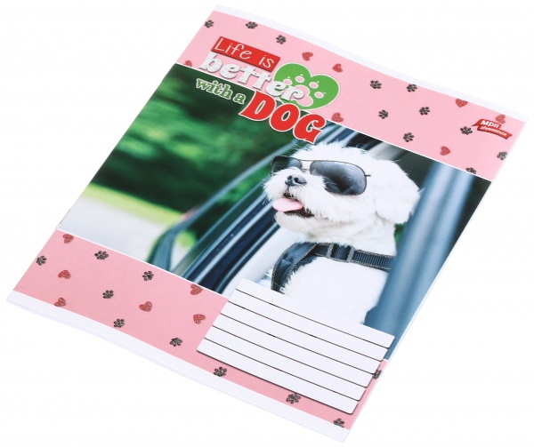 Тетрадь школьная с глитером 18 листов в линейку в ассортименте Мечты сбываются